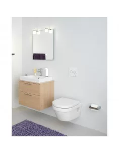 Unitazas Hygienic Flush rimless su SoftClose dangčiu, Gustavsberg