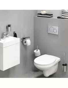 Šepetys tualeto su laikikliu Colar, metalinis, poliruoto nerūdijančio plieno sp., Tiger