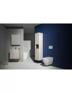 Praustuvo ir spintelės komplektas LAUFEN PRO S 600x500 mm, Laufen