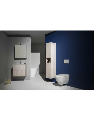 Praustuvo ir spintelės komplektas LAUFEN PRO S 600x500 mm, Laufen