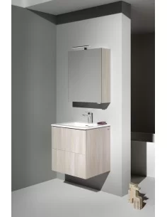 Praustuvo ir spintelės komplektas LAUFEN PRO S 600x500 mm, Laufen