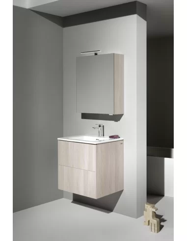 Praustuvo ir spintelės komplektas LAUFEN PRO S 600x500 mm, Laufen