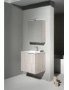 Praustuvo ir spintelės komplektas LAUFEN PRO S 600x500 mm, Laufen