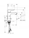 Maišytuvas praustuvui Metris 110 chromas, Hansgrohe