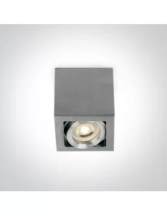 Virštinkinis dviejų krypčių šviestuvas, Aluminium, 12105B/AL, ONE LIGHT