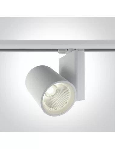 Bėginis dviejų krypčių šviestuvas, Baltas, 65614NT/W/C, ONE LIGHT