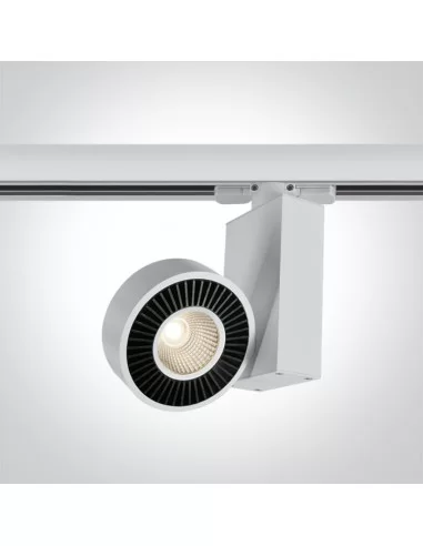 Bėginis dviejų krypčių šviestuvas, Baltas, 65620T/W/W, ONE LIGHT