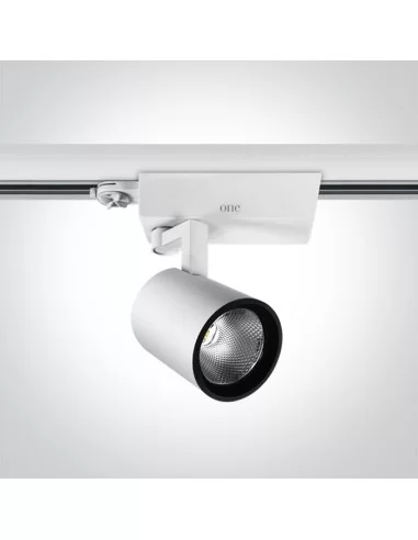 Bėginis dviejų krypčių šviestuvas, Baltas, 65624T/W/W, ONE LIGHT