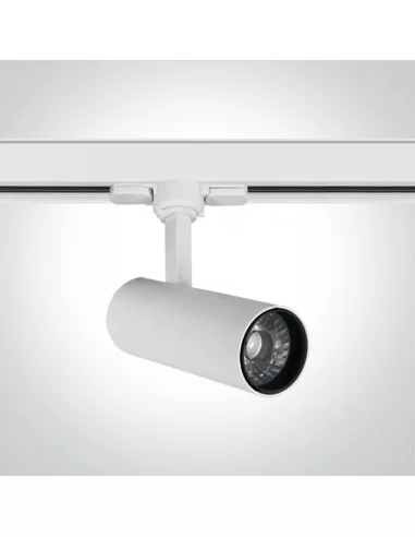Bėginis dviejų krypčių šviestuvas, Baltas, 65642AT/W/C, ONE LIGHT
