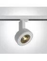 Bėginis dviejų krypčių šviestuvas, Baltas, 65652T/W/C, ONE LIGHT