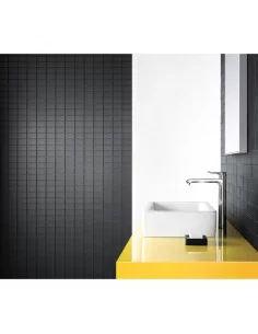 Maišytuvas praustuvui aukštas Metris 260 chromas, Hansgrohe