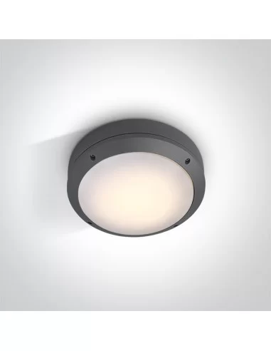 Virštinkinis sieninis šviestuvas, Antracitas, 67204/AN, ONE LIGHT