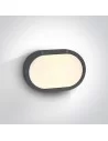 Virštinkinis sieninis šviestuvas, Antracitas, 67204B/AN, ONE LIGHT