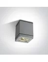 Virštinkinis šviestuvas, Pilkas, 67132D/G, ONE LIGHT