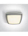 Virštinkinis šviestuvas, Pilkas, 67216/G, ONE LIGHT