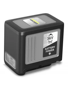 Akumuliatorius "Battery Power+ 36/60"