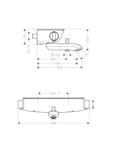 Maišytuvas voniai termostatinis Ecostat Select chromas, Hansgrohe