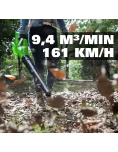 Pūstuvas, 24V su 2Ah akumuliatoriumi g24abk2, Greenworks