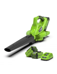 Pūstuvas/Surinktuvas, 40V su dviem 2Ah akumuliatoriais gd40bvk2x, Greenworks