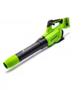 Pūstuvas, 2X24V be akumuliatoriaus g24x2ab, Greenworks