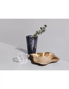 Dubuo Aalto 75mm, skaidraus stiklo, Iittala