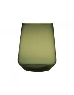 Stiklinės 2 vnt. Essence 350 ml, samanų žalios sp., Iittala