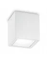 Lubinis šviestuvas techo pl1 small bianco, Ideal lux
