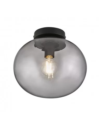 Lubinis - sieninis šviestuvas alton loft smoked, Nordlux