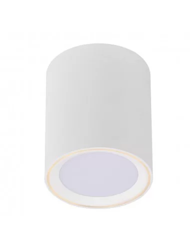 Lubinis LED šviestuvas fallon 12 white, Nordlux