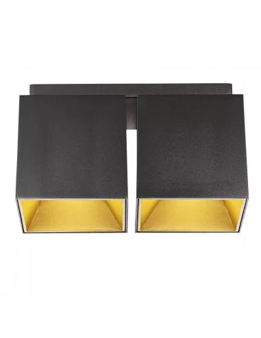 Lubinis šviestuvas ethan 2 black, Nordlux