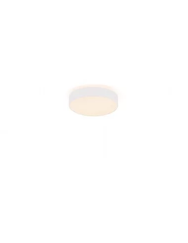 Lubinis Led Dimeriuojamas Šviestuvas Solana D40 36W 3000K Triac, White, Light plan