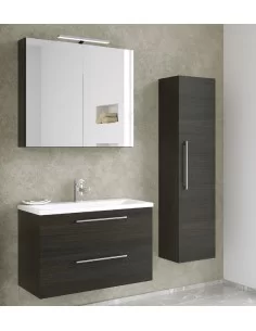 Spintelė su praustuvu SCANDIC 61cm, juodas ąžuolas, Raguvos Baldai