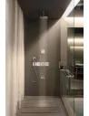 Dušo galva stacionari iš lubų Raindance Select S 300 2 jet chromas, Hansgrohe