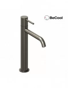 Maišytuvas ESPIRIT 250 mm su BeCool funkcija, Šlifuotas grafito, RAVAK