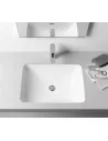 Praustuvas montuojamas po stalviršiu LAUFEN PRO S 600x400 mm su LCC danga