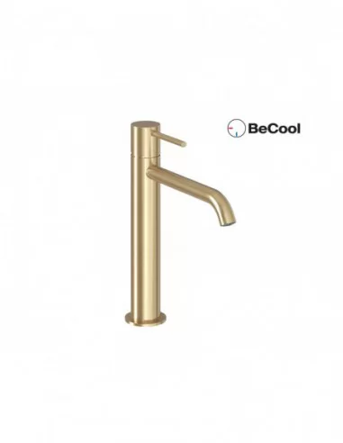 Maišytuvas 250 mm su Espirit BeCool ES 014.01, Šlifuoto aukso, RAVAK