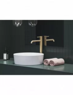 Maišytuvas Espirit 340 mm be perpylimo ES 015.00, Šlifuoto aukso, RAVAK