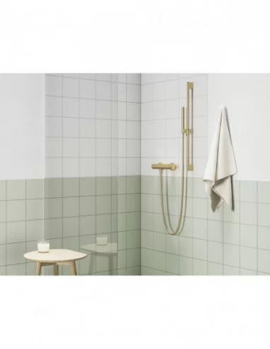 Sieninis dušo maišytuvas Espirit, Šlifuoto aukso, RAVAK