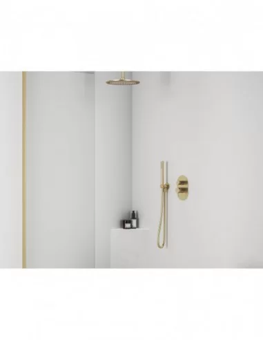 Paslėpto montavimo Espirit maišytuvas su jungikliu, skirta R-box ES 065.00, Šlifuoto aukso, RAVAK