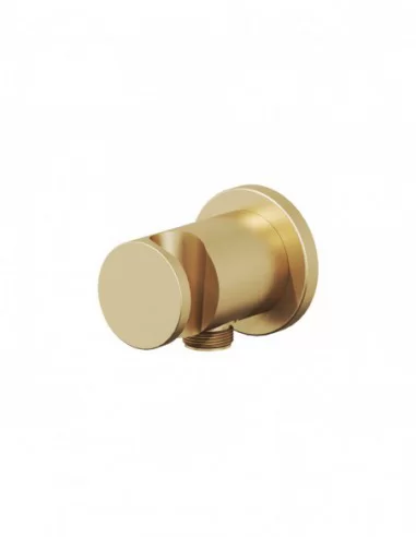 Sieninis dušo išvadas su dušo laikikliu, Šlifuoto aukso, RAVAK