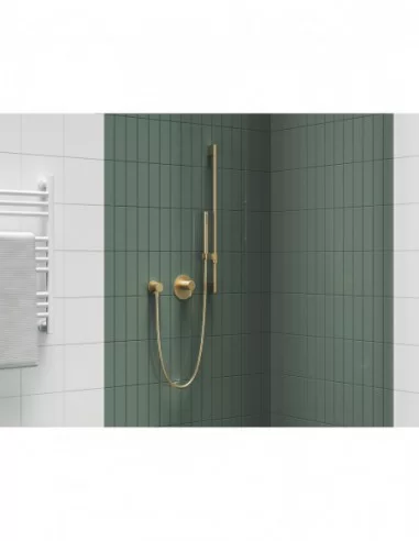 Dušo stovas su reguliuojamu laikikliu, 70 cm, Šlifuoto aukso, RAVAK