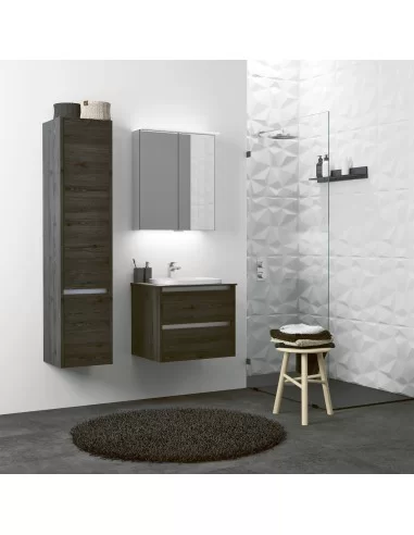 Ūkinė dviejų durų spintelė CITY juodo ąžuolo sp., Kame