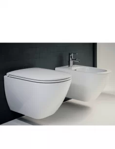 Pakabinamas unitazas Laufen LUA su Ideal Standard rėmu ir nuleidimo plokštele