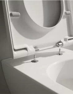 Pakabinamas unitazas Laufen PRO X Rimless Silent Flush su SoftClose dangčiu