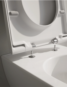 Dangtis unitazo PRO X, su Soft Close sistema, Laufen