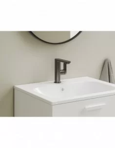 Praustuvo maišytuvas Chrome II CR II 014.02 su šonine svirtimi, Šlifuoto grafito, RAVAK